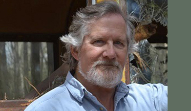 tim ely 391